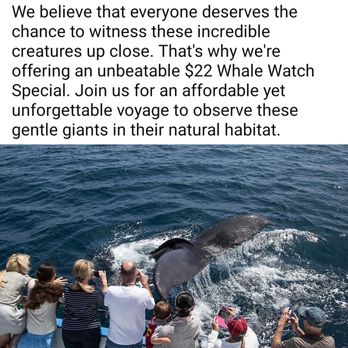 Newport Landing - Whale Watching Tours Near Me - Newport Beach, California