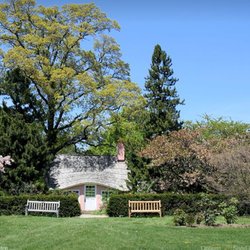Steve Chapman's Tree Service - untitled