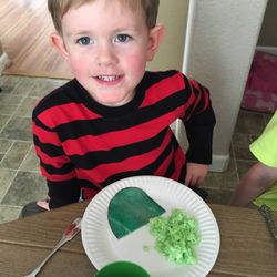 The Berry Patch Preschool