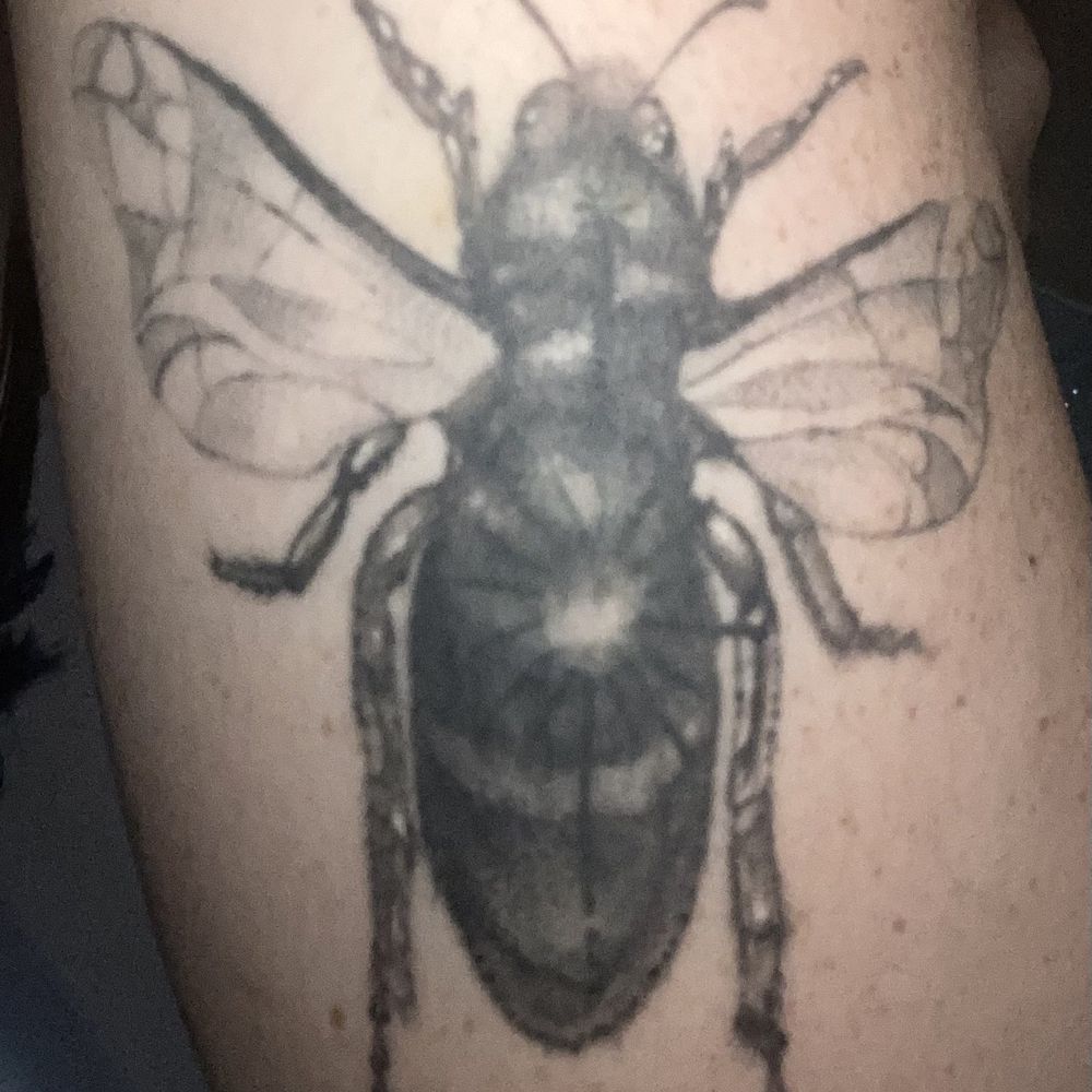 Envision Tattoo Studio - Tattoo Near Me - Murrieta, California Envision Tattoo Studio - Tattoo Near Me - Murrieta, California