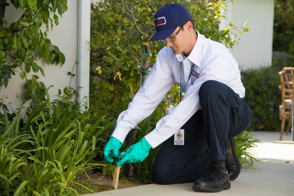 Clark Pest Control Rats CLARK PEST CONTROL - Updated June 2026 - 57 Photos & 87 Reviews - 5822 ...