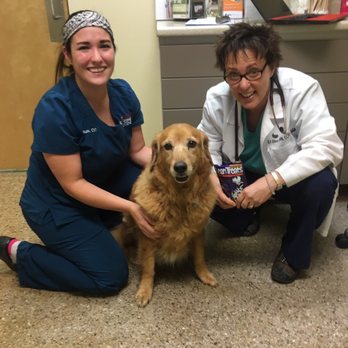 Varsity Veterinary Center - Zoey with awesome vet tech Laura ("Auntie Laura") and wonderful Dr. Elizabeth Olson. :) We love you! - Veterinarians Near Me - Orlando, Florida Varsity Veterinary Center - Zoey with awesome vet tech Laura ("Auntie Laura") and wonderful Dr. Elizabeth Olson. :) We love you! - Veterinarians Near Me - Orlando, Florida