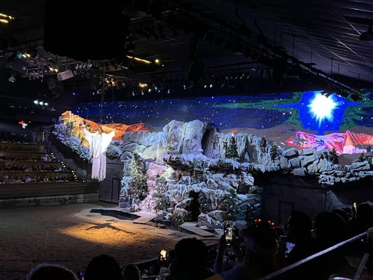 Dolly Parton's Stampede by null