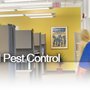 Photo of Pest Doctor