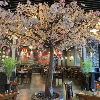 Wu's House - Dining room area's Cherry Blossom Tree - Sushi Bars Near Me - Naperville, Illinois