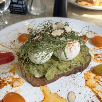 Terraza Garden Patio & Lounge - Avocado toast with poached eggs. - Music Venues Near Me - Tucson, Arizona Terraza Garden Patio & Lounge - Avocado toast with poached eggs. - Music Venues Near Me - Tucson, Arizona