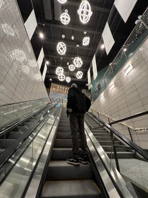 Sperry's Moviehouse by null