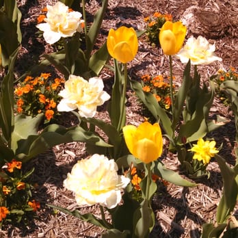Maymont - Parks Near Me - Richmond, Virginia Maymont - Parks Near Me - Richmond, Virginia