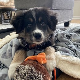 Jax Jax