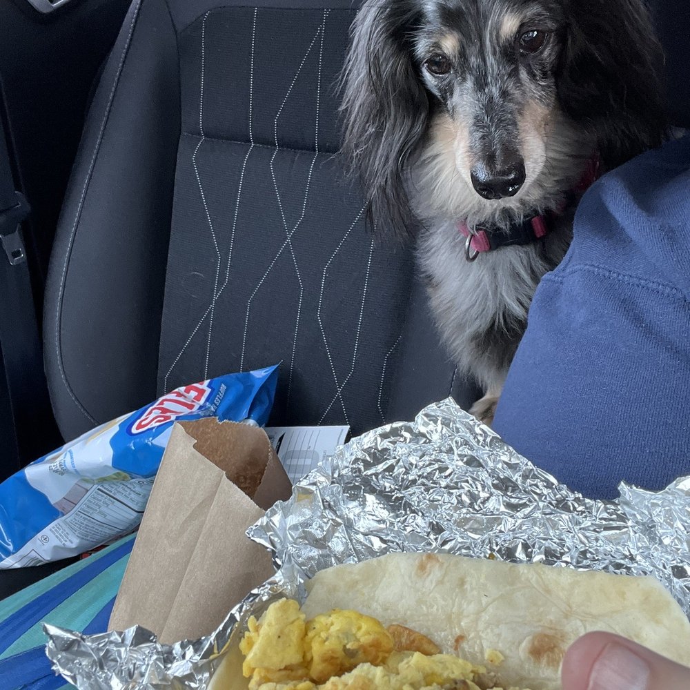 TOP 10 BEST Chicken Fried Steak near Florence, TX - Updated 2025 - Yelp, image size:1000x1000