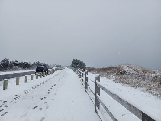 Hammonasset Beach State Park by null