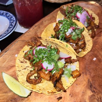 Gracia - Mexican Near Me - Seattle, Washington Gracia - Mexican Near Me - Seattle, Washington
