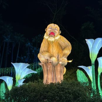 LA Zoo Lights - Zoos Near Me - Los Angeles, California LA Zoo Lights - Zoos Near Me - Los Angeles, California