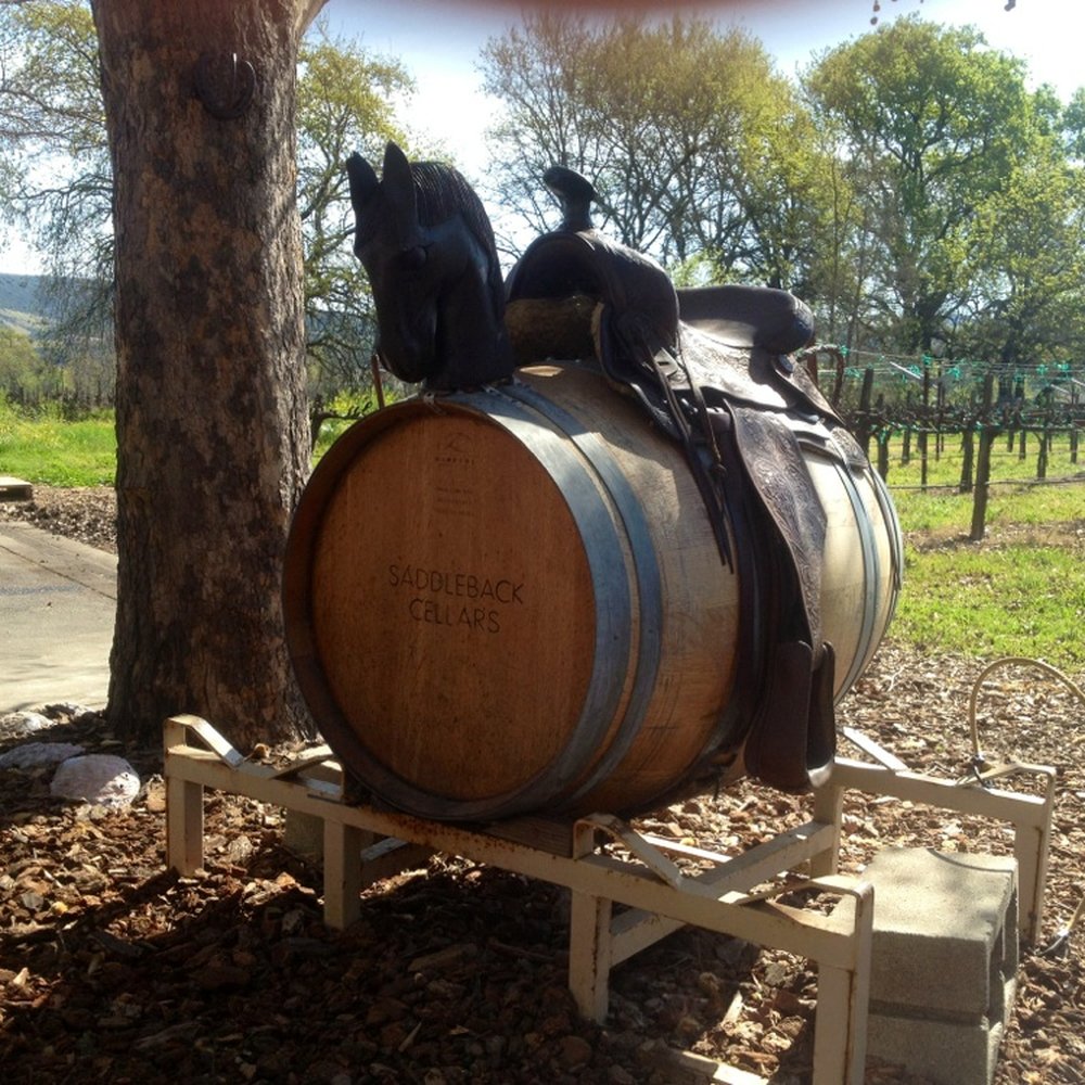 Saddleback Cellars - Barrel of wine converted into a horse! Funny... - Wine Tasting Room Near Me - Oakville, California