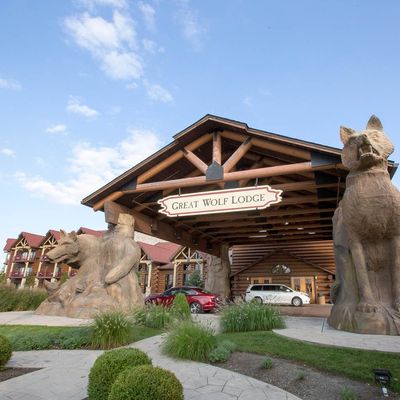 Great Wolf Lodge | Grapevine by null