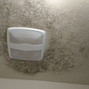Anglia Homes - Mold after only 7 months. Do you want your children or family to breathe air from this room? I didn't think so. - Real Estate Services Near Me - Houston, Texas Anglia Homes - Mold after only 7 months. Do you want your children or family to breathe air from this room? I didn't think so. - Real Estate Services Near Me - Houston, Texas