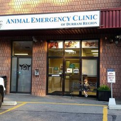 norseman animal hospital