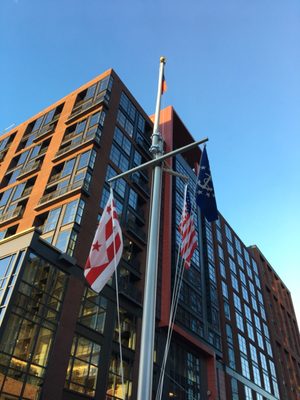 Capital Yacht Club by null