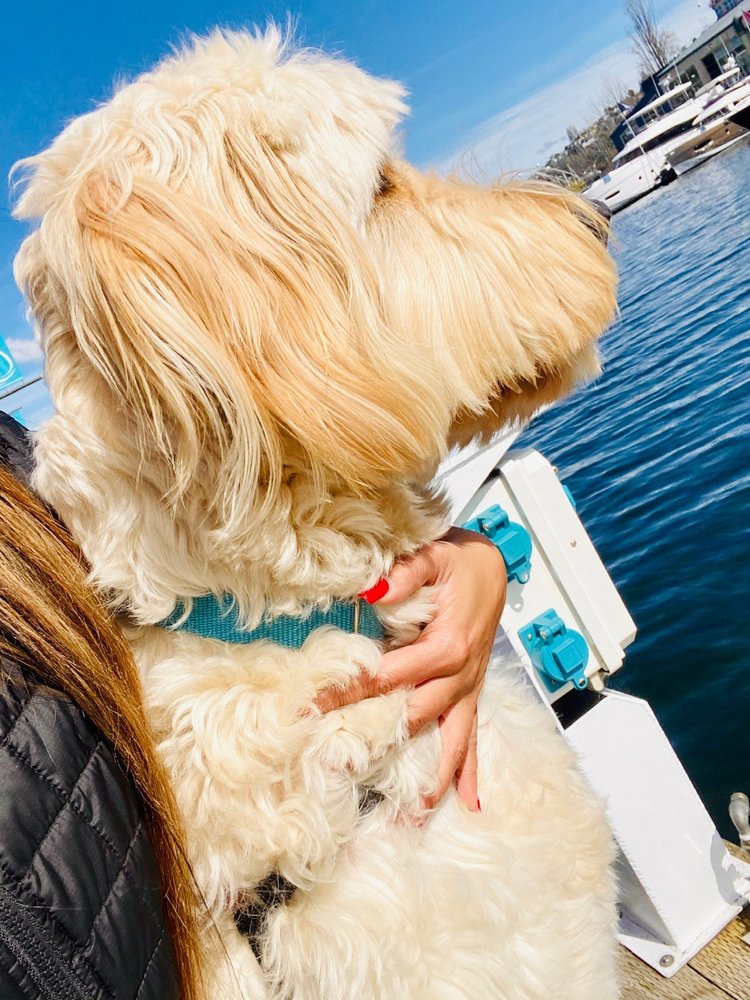 Olympic Sculpture Park