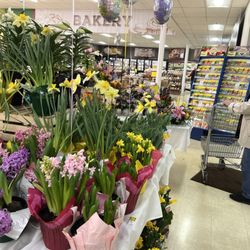 Yoder's Country Market