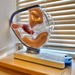 Aspire For Women Obstetrics and Gynecology