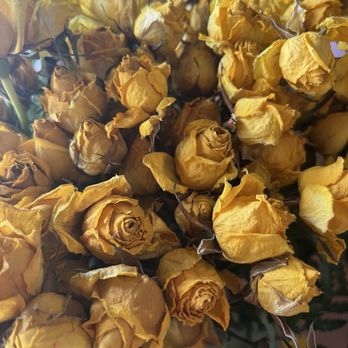 800 Rose Big - My husband and kids stopped and bought these for me. They cost over $100 and wilted and dried out within two days. - Florists Near Me - Newport Beach, California