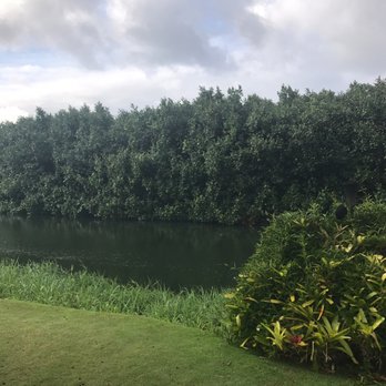 The Dolphin - View of the river on which The Dolphin resides. - Seafood Markets Near Me - Hanalei, Hawaii