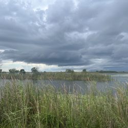 Loxahatchee Everglades Airboat Tours and Rides