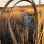 Photo of Halde Grosses Holz