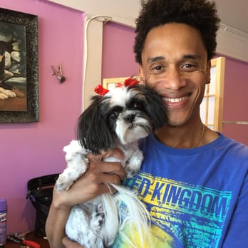 Brusarah Pet Grooming Salon - Willow, the California Dog, after Marlon the Miracle Worker transformed her. She is so much happier now! - Pet Groomers Near Me - Mahopac, New York