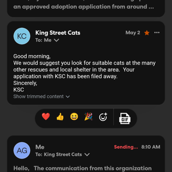 King Street Cats - I had to ask multiple times for an actual confirmation on this. It's very difficult to communicate directly apparently. - Animal Shelters Near Me - Alexandria, Virginia