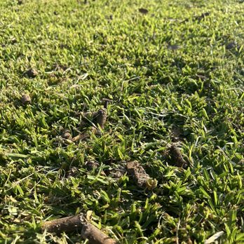 Southern Green Outdoors - Lawn Services Near Me Southern Green Outdoors - Lawn Services Near Me