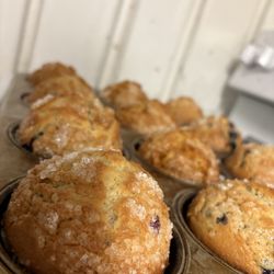 Joltin Jo's Espresso - Blueberry home baked muffins