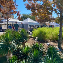 Hill Country Galleria Hike & Bike Trail - Walk from my house to Lonestar Farmer's market