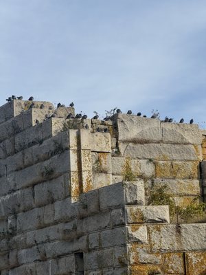 Popham Beach State Park by null