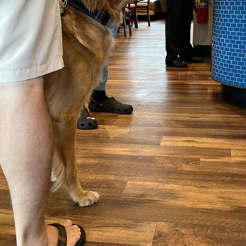 IHOP - Wol...I mean dog. - Breakfast & Brunch Near Me - Pooler, Georgia