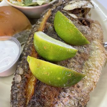 Mambo Seafood - Fried tilapia - fresh, melts in your mouth - Seafood Near Me - McAllen, Texas Mambo Seafood - Fried tilapia - fresh, melts in your mouth - Seafood Near Me - McAllen, Texas