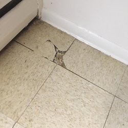 The Barac Company - Cracked tile in the kitchen