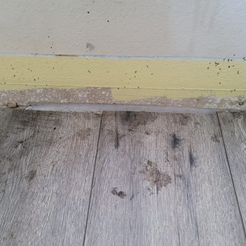 ServiceMaster Restoration by EMT- San Bernardino County 1 - Damage Restoration Near Me - Ontario, California ServiceMaster Restoration by EMT- San Bernardino County 1 - Damage Restoration Near Me - Ontario, California