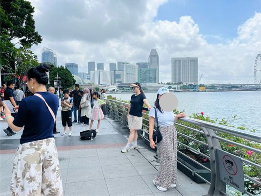 Merlion Park by null
