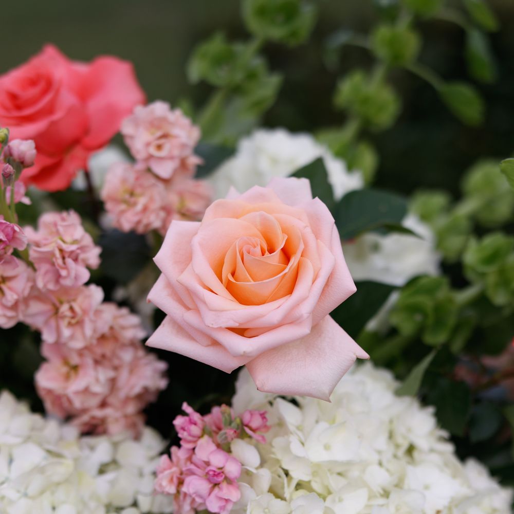 Cut 1 Floral Designs - Floral Designers Near Me - Hoboken, New Jersey