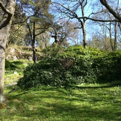 Bergianska Trädgården