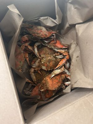 Courtney's Restaurant-Seafood by null