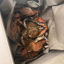 Courtney's Restaurant & Seafood - Steamed Crabs