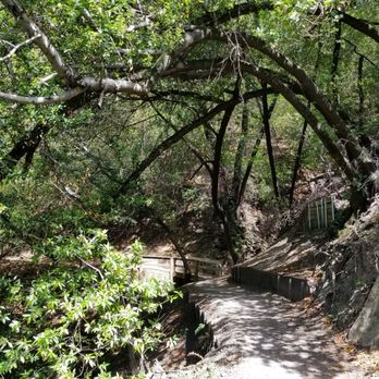 Los Gatos Creek Trail - Parks Near Me - Campbell, California