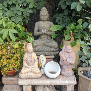California Cactus Center - Nurseries & Gardening Near Me - Pasadena, California