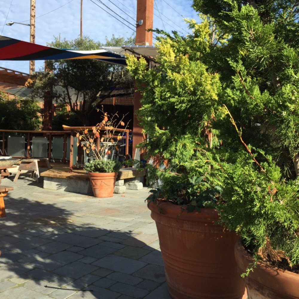 Pono Ranch - American Near Me - Seattle, Washington