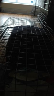 Garden Lane Backpackers by null