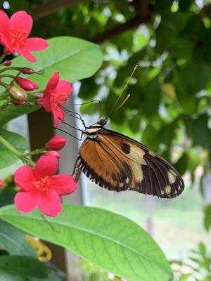 Omaha's Henry Doorly Zoo and Aquarium by null