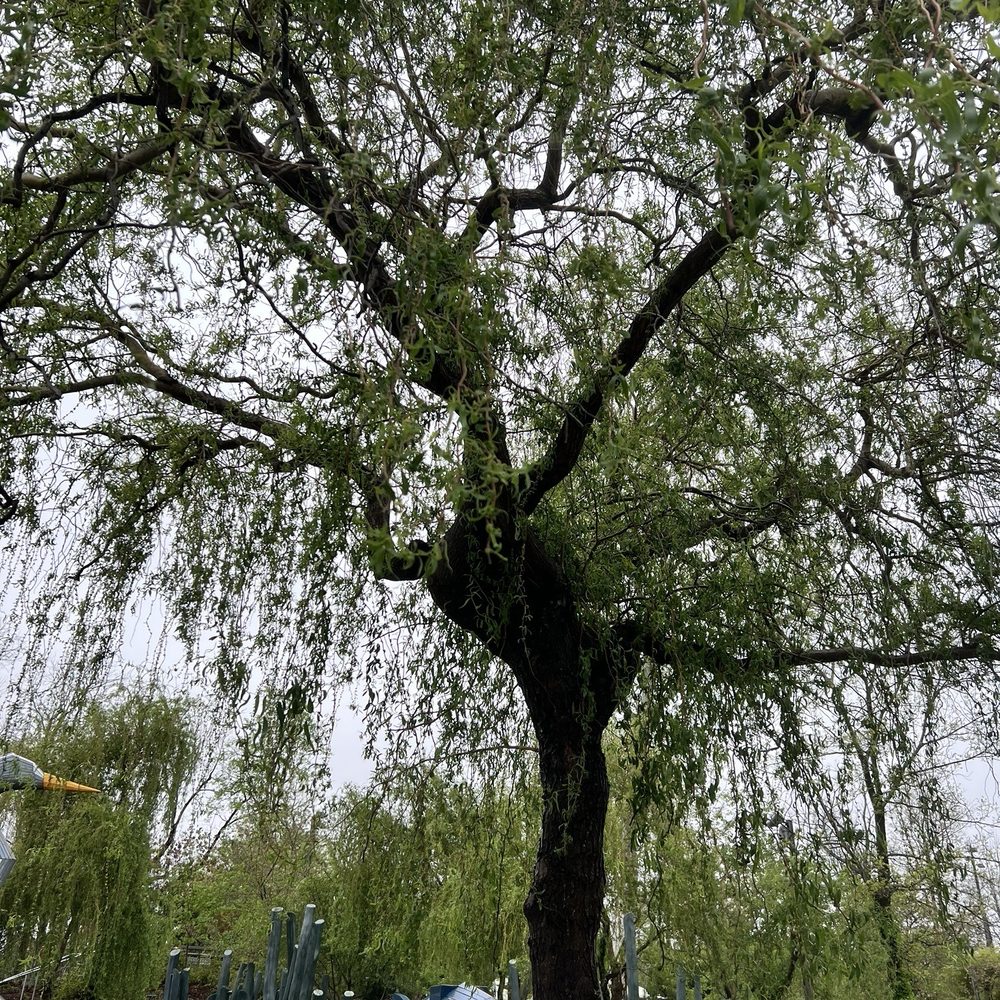 Gathering Place - Parks Near Me - Tulsa, Oklahoma Gathering Place - Parks Near Me - Tulsa, Oklahoma